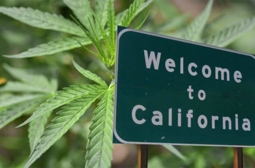 Калифорния марихуана